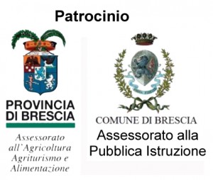 logo-patrocinio